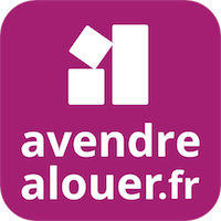 Carrefour adaptateur iphone